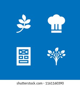 4 fresh icons in vector set. chef, branch with leaves black shape, layout and plant illustration for web and graphic design