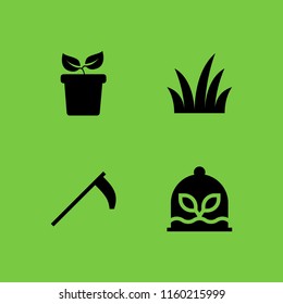 4 grow icons in vector set. plant, agriculture, grass and plant with two leaves on a pot side view illustration for web and graphic design
