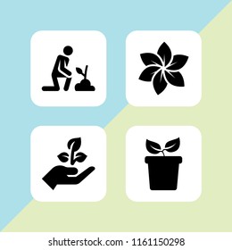 4 growing icons in vector set. garden, plant with two leaves on a pot side view, seeding and gardener illustration for web and graphic design