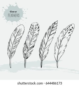  4 hand drawn feathers isolated on background