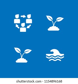 4 hawaii icons in vector set. flow, wave and plant with leaves illustration for web and graphic design