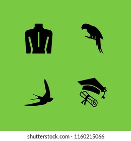 4 head icons in vector set. bird, anatomy, parrot and hat illustration for web and graphic design