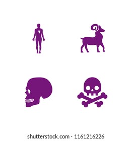 4 head icons in vector set. human body, goat and skull illustration for web and graphic design