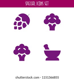 4 herb icons in vector set. mortar, artichoke and vegetarian illustration for web and graphic design