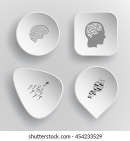 4 images:  human brains, spermatozoon, DNA. Medical set. White concave buttons on gray background. Vector icons.