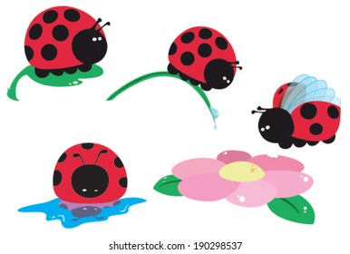 4 images of a ladybug, vector illustration isolated on white