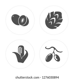 4 Kiwi, Corn, Artichoke, Olives modern icons on round shapes, vector illustration, eps10, trendy icon set.