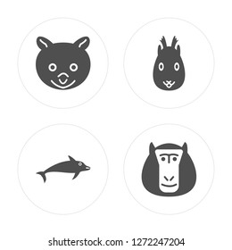 4 Lemur, Dolphin Jumping, Squirrel, Baboon modern icons on round shapes, vector illustration, eps10, trendy icon set.