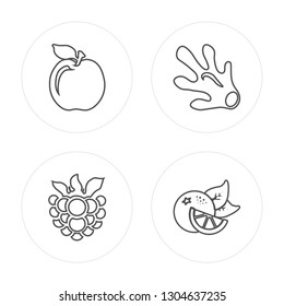 4 line Apple, Raspberry, Ginger, Orange modern icons on round shapes, Apple, Raspberry, Ginger, Orange vector illustration, trendy linear icon set.