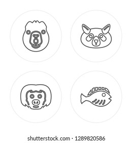 4 line Beaver, sloth, Raccoon, Flounder modern icons on round shapes, Beaver, sloth, Raccoon, Flounder vector illustration, trendy linear icon set.