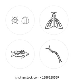 4 line Bug, Zander, Butterfly, Centipede modern icons on round shapes, Bug, Zander, Butterfly, Centipede vector illustration, trendy linear icon set.