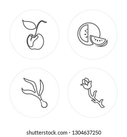 4 line Cherry, Spring onion, Watermelon, Asparagus modern icons on round shapes, Cherry, Spring onion, Watermelon, Asparagus vector illustration, trendy linear icon set.