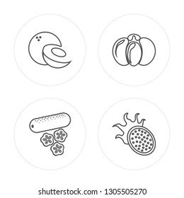 4 line Coconut, Cucumber, Pumpkin, Pitaya modern icons on round shapes, Coconut, Cucumber, Pumpkin, Pitaya vector illustration, trendy linear icon set.