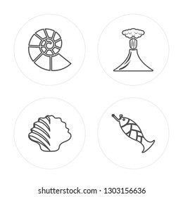 4 line Fossil, Shellfish, Volcano, Fishing modern icons on round shapes, Fossil, Shellfish, Volcano, Fishing vector illustration, trendy linear icon set.