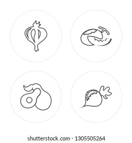 4 line Garlic, Avocado, Melon, Radishes modern icons on round shapes, Garlic, Avocado, Melon, Radishes vector illustration, trendy linear icon set.