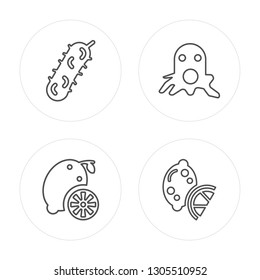 4 line Pickle, Lemon, Squid, Lime modern icons on round shapes, Pickle, Lemon, Squid, Lime vector illustration, trendy linear icon set.