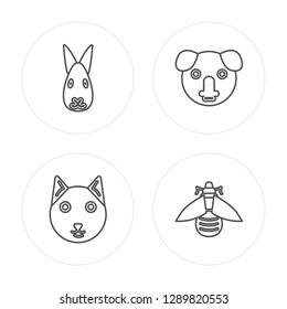 4 line Rabbit, Cat, Koala, Bee modern icons on round shapes, Rabbit, Cat, Koala, Bee vector illustration, trendy linear icon set.