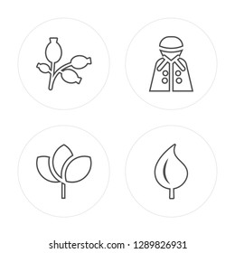 4 line Rosa canina, Leaf, Raincoat, Leaf modern icons on round shapes, Rosa canina, Leaf, Raincoat, Leaf vector illustration, trendy linear icon set.