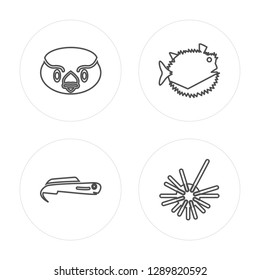 4 line Sparrow, Moray, Globe Fish, Sea Urchin modern icons on round shapes, Sparrow, Moray, Globe Fish, Sea Urchin vector illustration, trendy linear icon set.