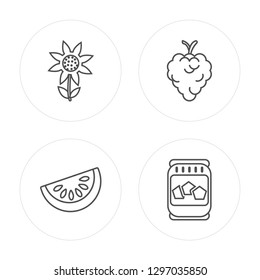 4 line Sunflower, Watermelon, Grapes, Honey modern icons on round shapes, Sunflower, Watermelon, Grapes, Honey vector illustration, trendy linear icon set.