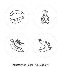 4 line Watermelon, Cucumber, Papaya, Eggplant modern icons on round shapes, Watermelon, Cucumber, Papaya, Eggplant vector illustration, trendy linear icon set.