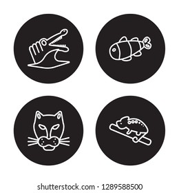 4 linear vector icon set : Crocodile, Cheetah, Clown fish, Chameleon isolated on black background, Crocodile, Cheetah, Clown fish, Chameleon outline icons