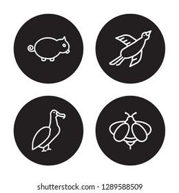 4 linear vector icon set : Boar, albatross, Bird, Bee isolated on black background, Boar, albatross, Bird, Bee outline icons