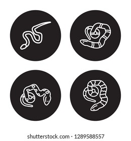 4 linear vector icon set : blindworm, coral snake, copperhead, cottonmouth isolated on black background, blindworm, coral snake, copperhead, cottonmouth outline icons