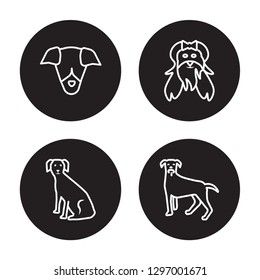 4 linear vector icon set : Xoloitzcuintli dog, West Highland White Terrier dog, Whippet dog isolated on black background,