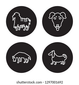 4 linear vector icon set : Berger Picard dog, Beauceron dog, Bergamasco dog, Beagle dog isolated on black background, 