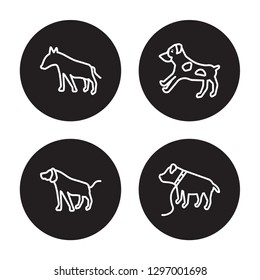 4 linear vector icon set : Bulldog, Brittany dog, Bull Terrier dog, Bracco Italiano dog isolated on black background, 