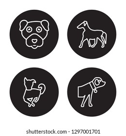4 linear vector icon set : Boxer dog, Borzoi dog, Boston Terrier dog, Border Collie dog isolated on black background, 