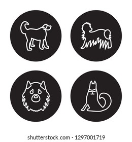 4 linear vector icon set : Vizsla dog, Komondor dog, Labradoodle dog, Keeshond dog isolated on black background,