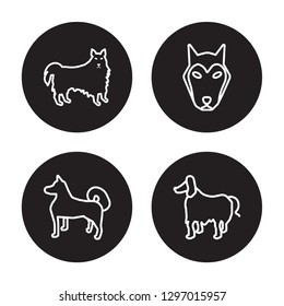 4 linear vector icon set : American Eskimo Dog dog, Akita dog, Alaskan Klee Kai dog isolated on black background, 