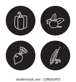 4 linear vector icon set : Bell pepper, Beet, Beetroot, Beans isolated on black background, Bell pepper, Beet, Beetroot, Beans outline icons