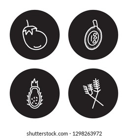 4 linear vector icon set : Eggplant, Dragon fruit, Durian, Dill isolated on black background, Eggplant, Dragon fruit, Durian, Dill outline icons