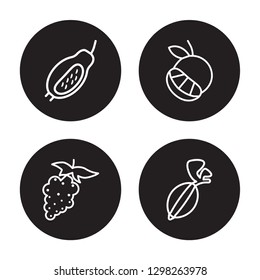 4 linear vector icon set : Guava, Grape, Grapefruit, Gooseberry isolated on black background, Guava, Grape, Grapefruit, Gooseberry outline icons