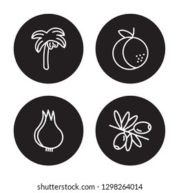 4 linear vector icon set : Palm, Onion, Orange, Olive isolated on black background, Palm, Onion, Orange, Olive outline icons