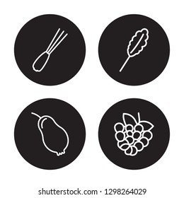 4 linear vector icon set : Spring onion, Rose apple, Spinach, Raspberry isolated on black background, Spring onion, Rose apple, Spinach, Raspberry outline icons