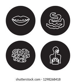 4 linear vector icon set : Smiling mouth showing teeth, Skin Cells, Small Intestine isolated on black background, Smiling mouth showing teeth, Skin Cells, Small Intestine outline icons