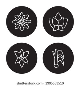 4 linear vector icon set : Magnolia, Lily, Lotus, Lemongrass isolated on black background, Magnolia, Lily, Lotus, Lemongrass outline icons