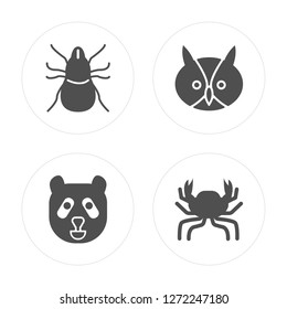 4 Mite, Panda Bear, Owl, Crab modern icons on round shapes, vector illustration, eps10, trendy icon set.