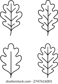 4 oak leaf illustration icons in outline design