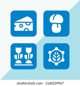 4 organic icons in vector set. farming and gardening, cheese, mushroom and leaf illustration for web and graphic design
