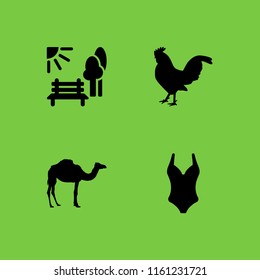 4 outdoor icons in vector set. bird, beach, camel and park illustration for web and graphic design