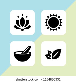 4 overhead icons in vector set. flower, leaf and bowl illustration for web and graphic design