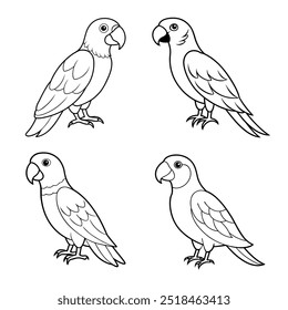 4 parrot vector illustration line art