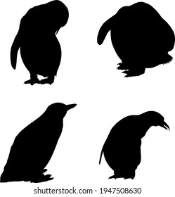 4 penguin silhouettes. Smooth and Clean Lines. High detailed penguin silhouettes. Vector Illustration.