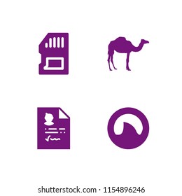 4 photo icons in vector set. memory card, camel, portfolio and shark fin illustration for web and graphic design