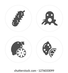 4 Pickle, Lemon, Squid, Lime modern icons on round shapes, vector illustration, eps10, trendy icon set.